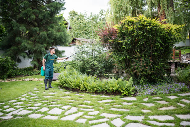 Best Mosquito Control Services  in Denton, MD
