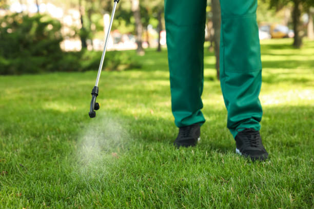 Trusted Denton, MD Pest Control Experts