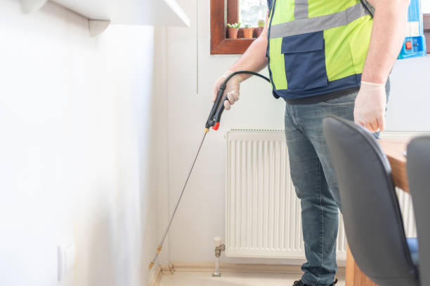 Best Termite Control Services  in Denton, MD
