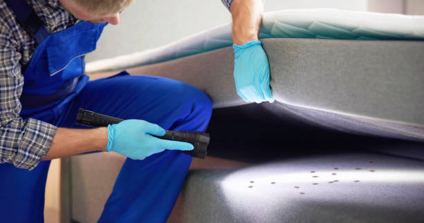 Best Best Pest Control Companies  in Denton, MD