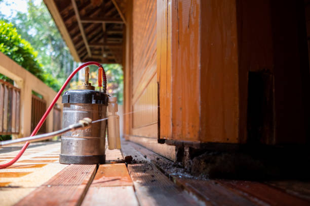 Best Affordable Pest Control Services  in Denton, MD