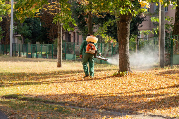Best Wildlife Control Services  in Denton, MD
