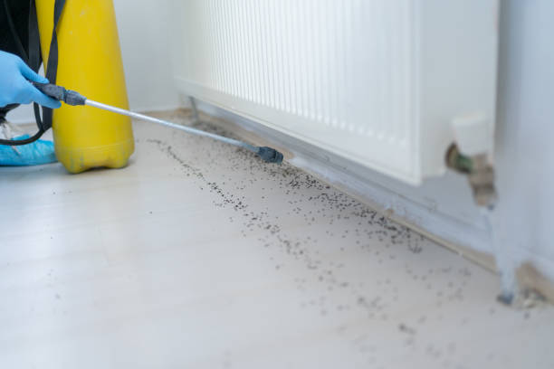 Best Commercial Pest Control Services  in Denton, MD