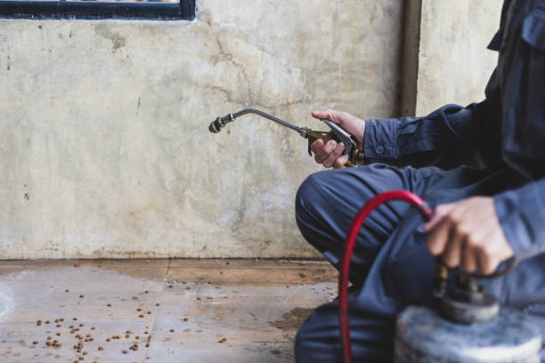 Best Affordable Pest Control Services  in Denton, MD